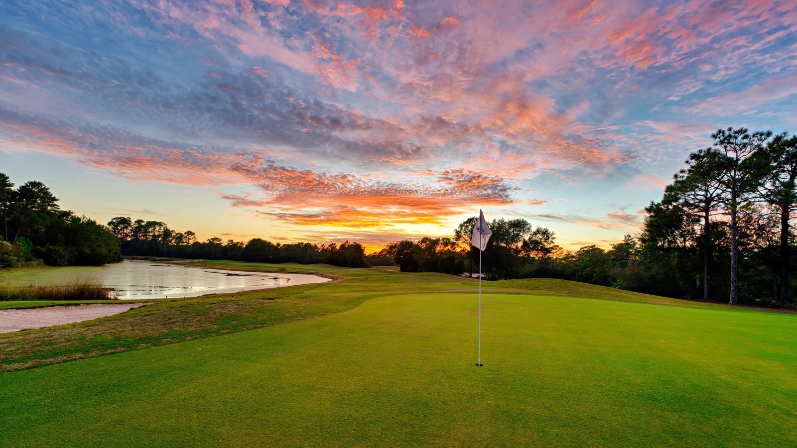 Championship Golf