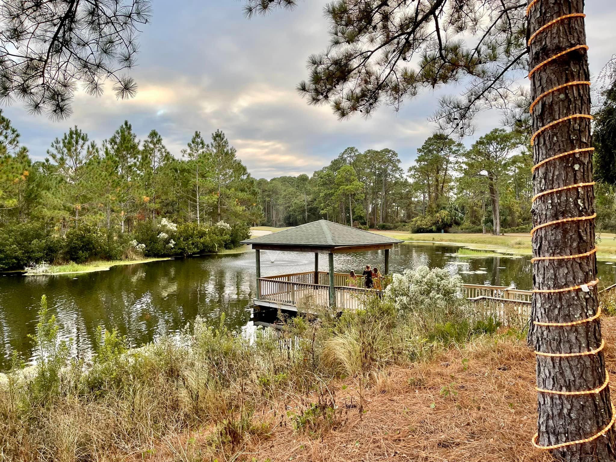 Wedding at St. James Bay in Carrabelle, FL
